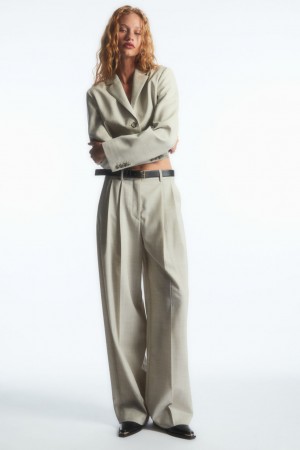 Dámské Kalhoty COS Široké-Leg Tailored Vlna Světle Béžový | UHXG-67983