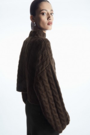Dámské Svetry COS Cable-Knit Turtleneck Tmavě Hnědé | ZOJY-20879
