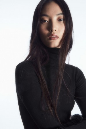 Dámské Svetry COS Merino Vlna Turtleneck Top Černé | TOPV-04372