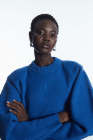 Dámské Svetry COS Power-Shoulder Waisted Světle Blankyt | NLWE-46527