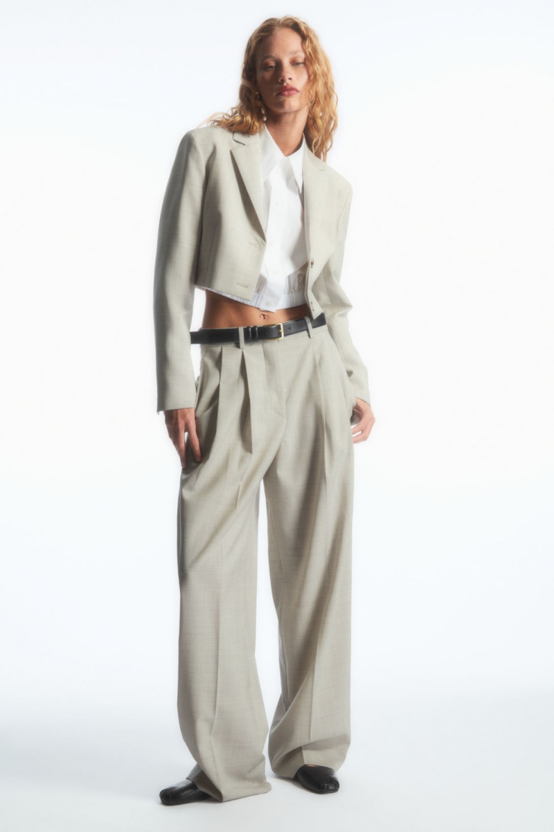Dámské Kalhoty COS Široké-Leg Tailored Vlna Světle Béžový | UHXG-67983
