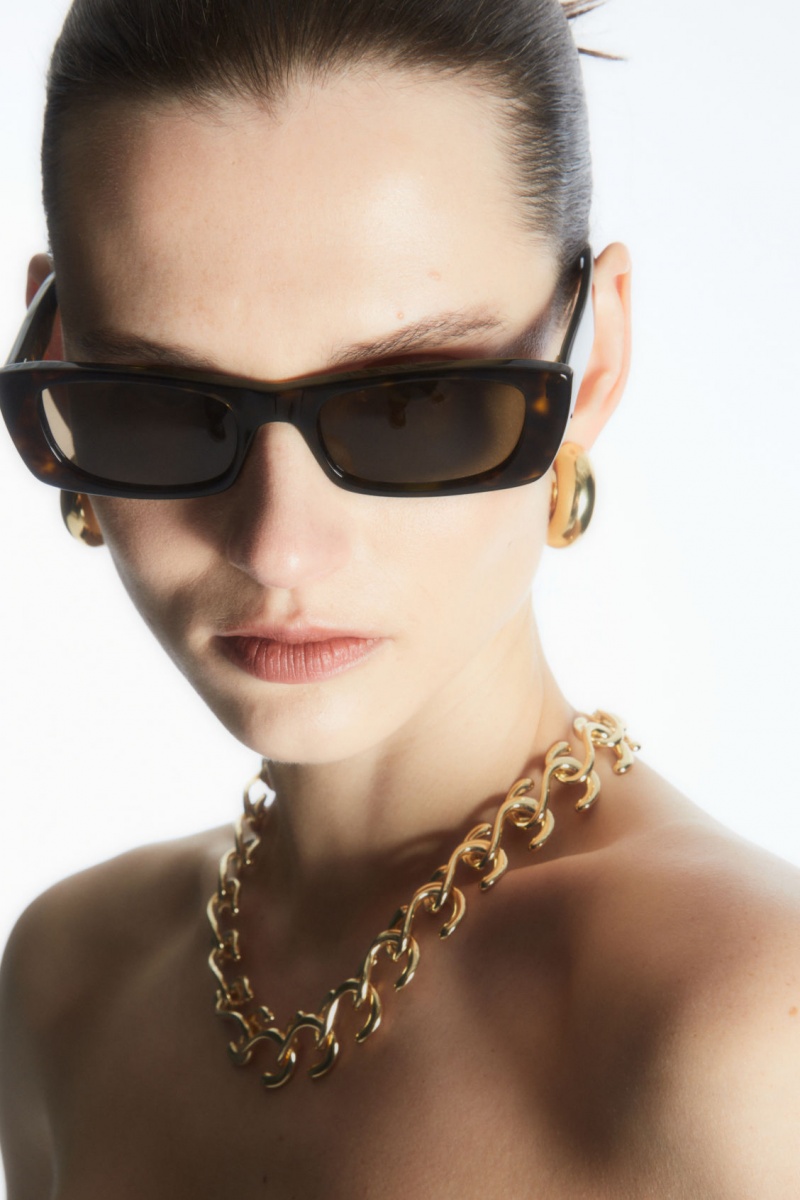 Dámské Sluneční Brýle COS Narrow Cat-Eye Hnědé | ULPE-51896