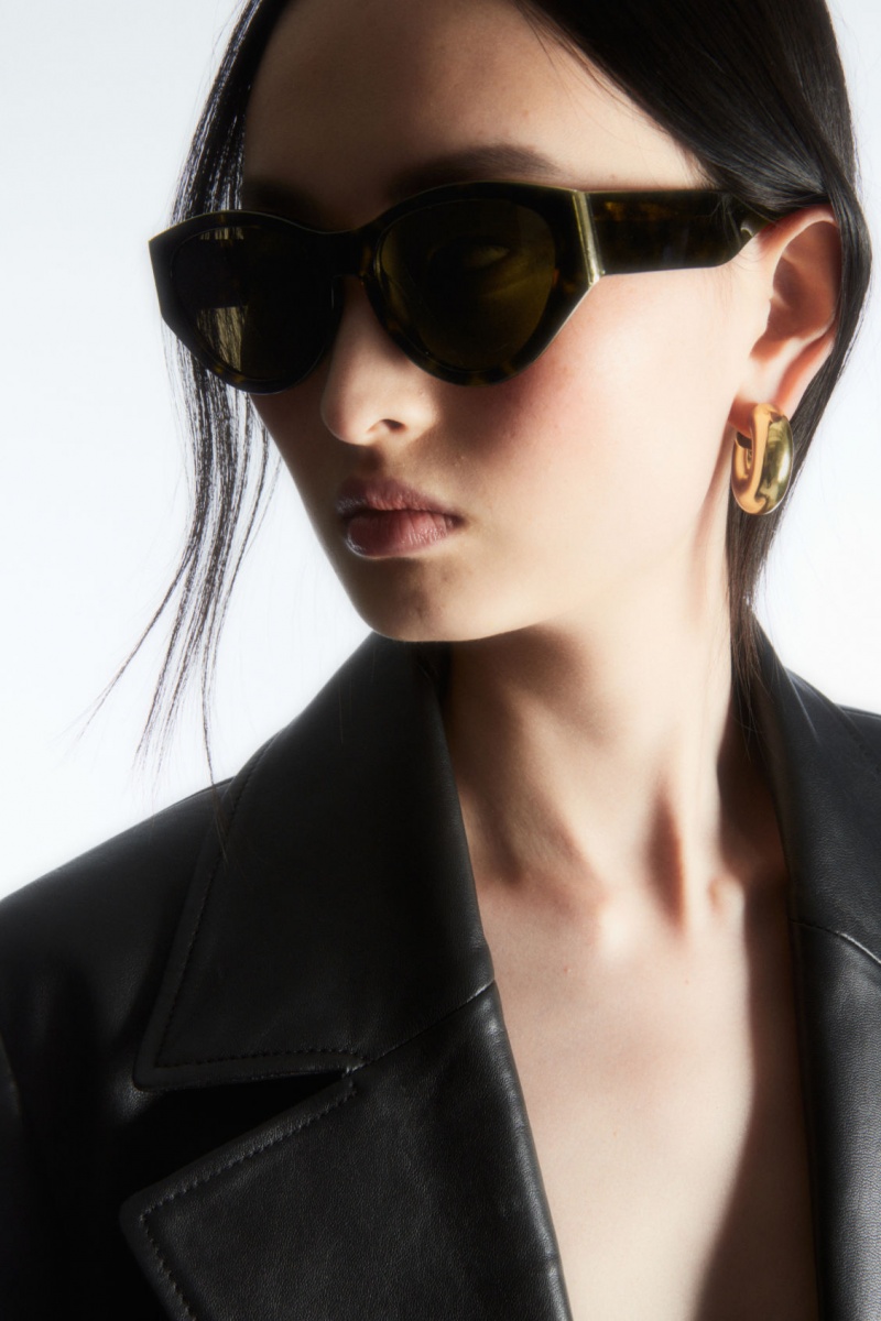 Dámské Sluneční Brýle COS Tortoiseshell Cat-Eye Hnědé | ASWG-39621