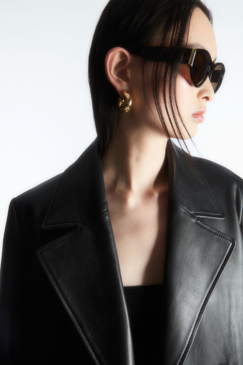 Dámské Sluneční Brýle COS Tortoiseshell Cat-Eye Hnědé | ASWG-39621