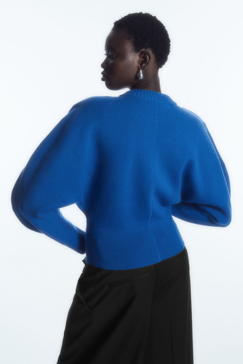 Dámské Svetry COS Power-Shoulder Waisted Světle Blankyt | NLWE-46527