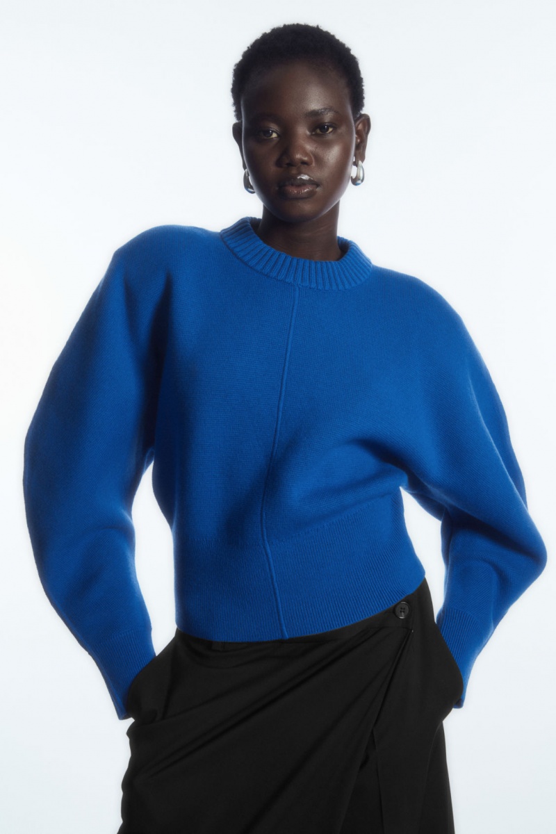 Dámské Svetry COS Power-Shoulder Waisted Světle Blankyt | NLWE-46527