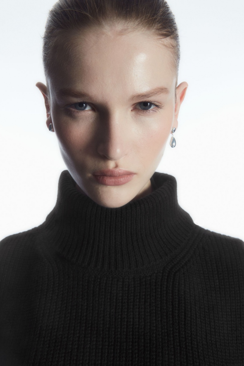 Dámské Vesta COS Open-Side Cashmere-Blend Roll-Neck Tank Černé | QUFP-49016