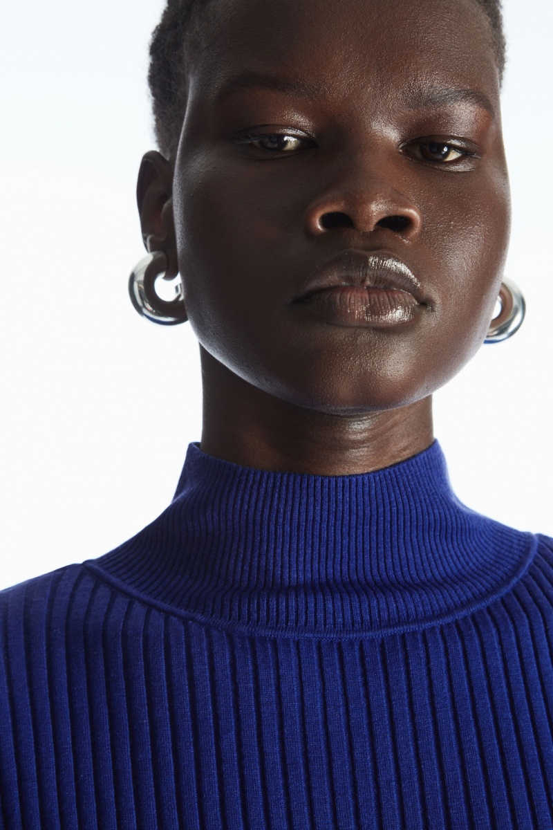 Dámské Šaty COS High-Neck Žebrovaný Silk Světle Blankyt | CGTH-07143